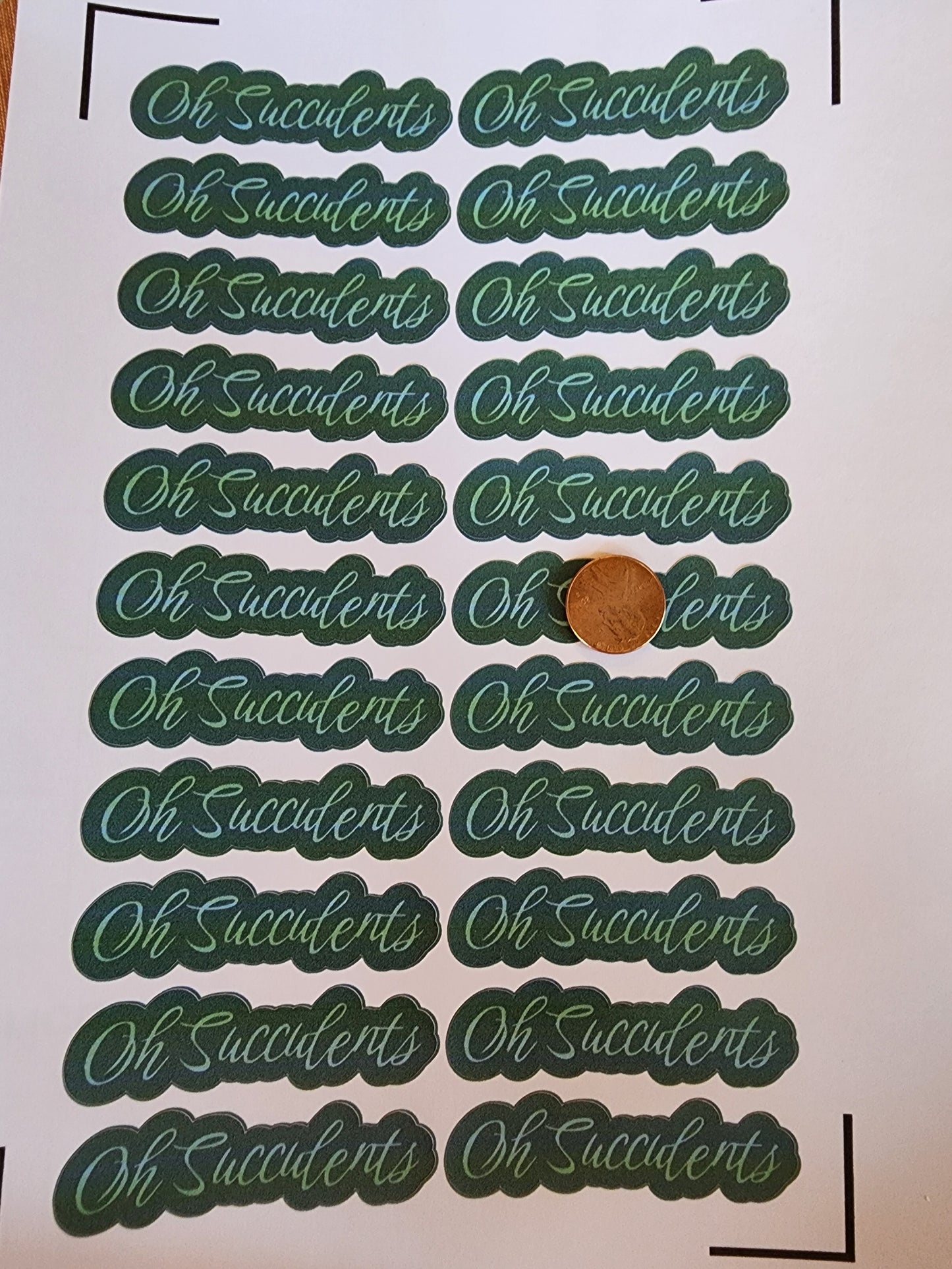 Oh Succulents Sticker