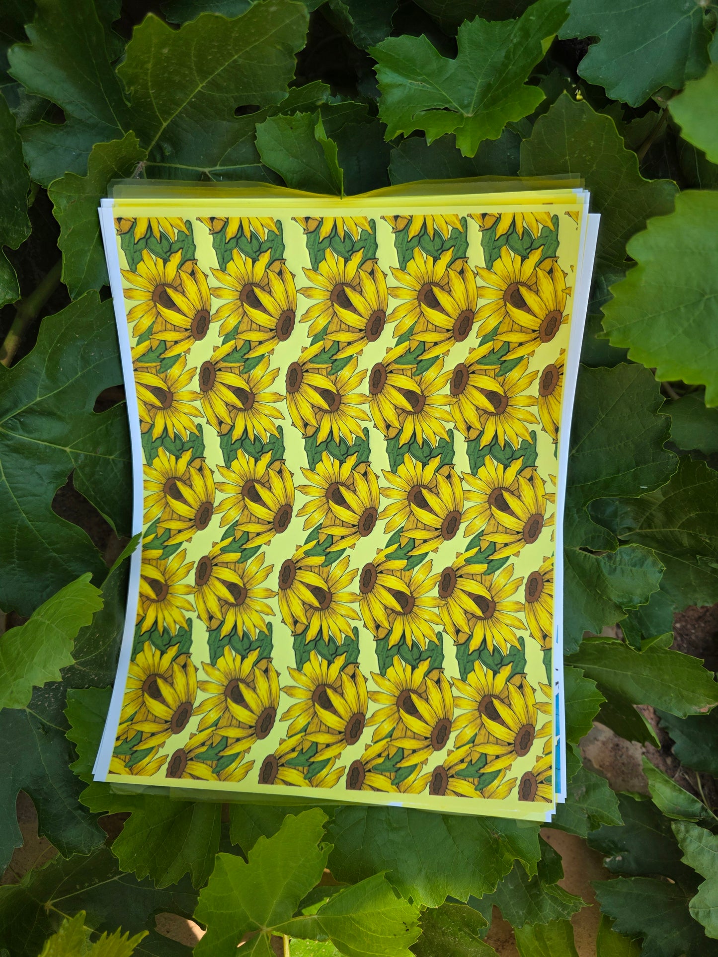 Sunflowers Ceramic Overglaze Transfer