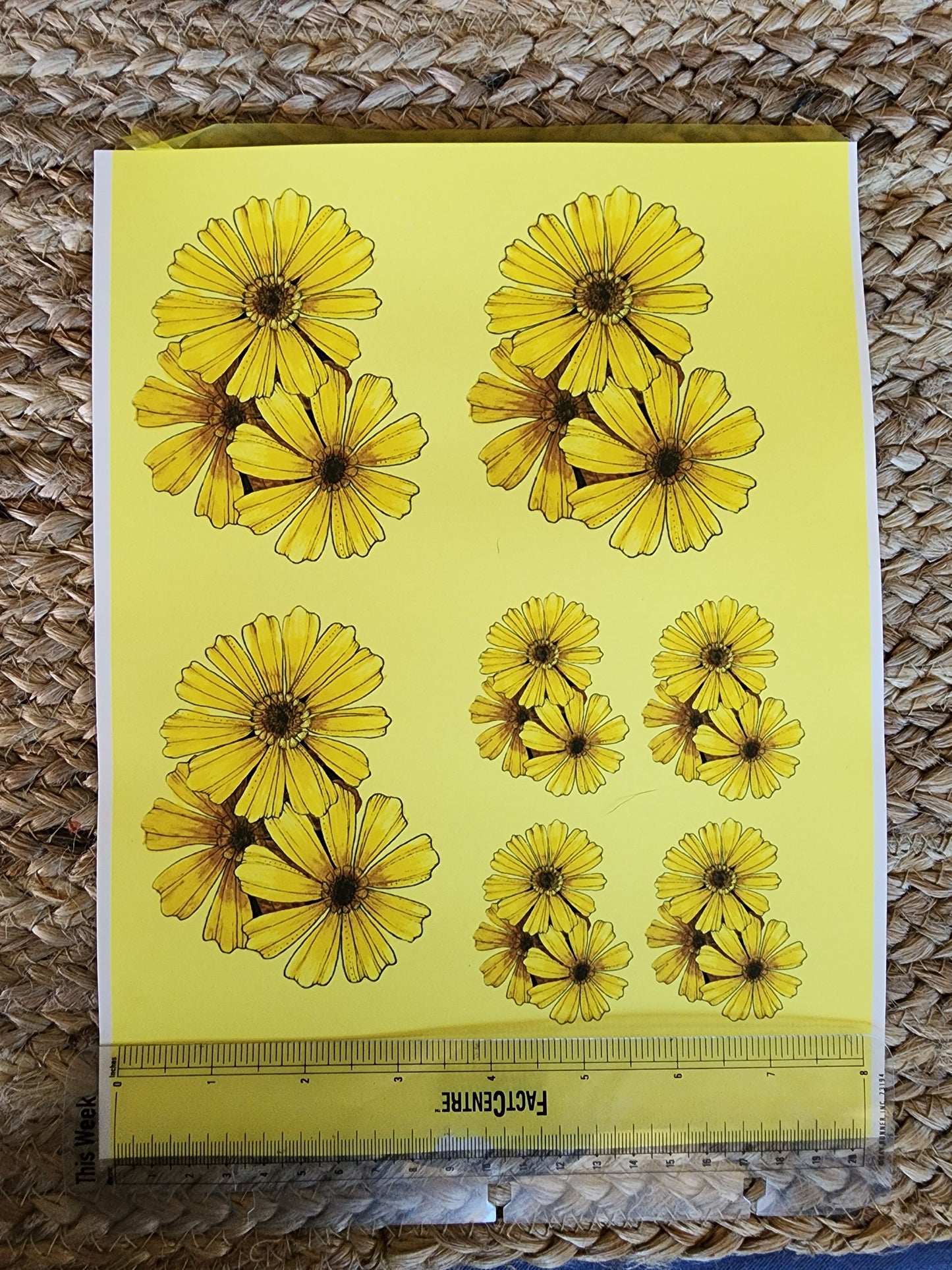 Sunflower Ceramic Decal