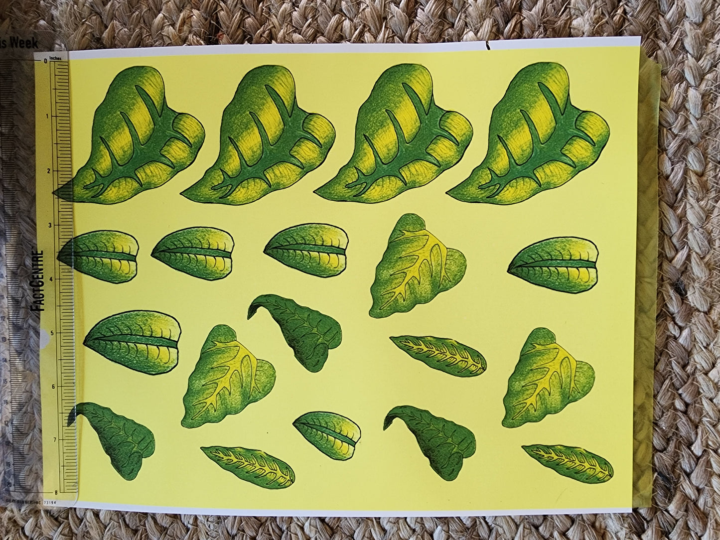 Leaves Ceramic Decal
