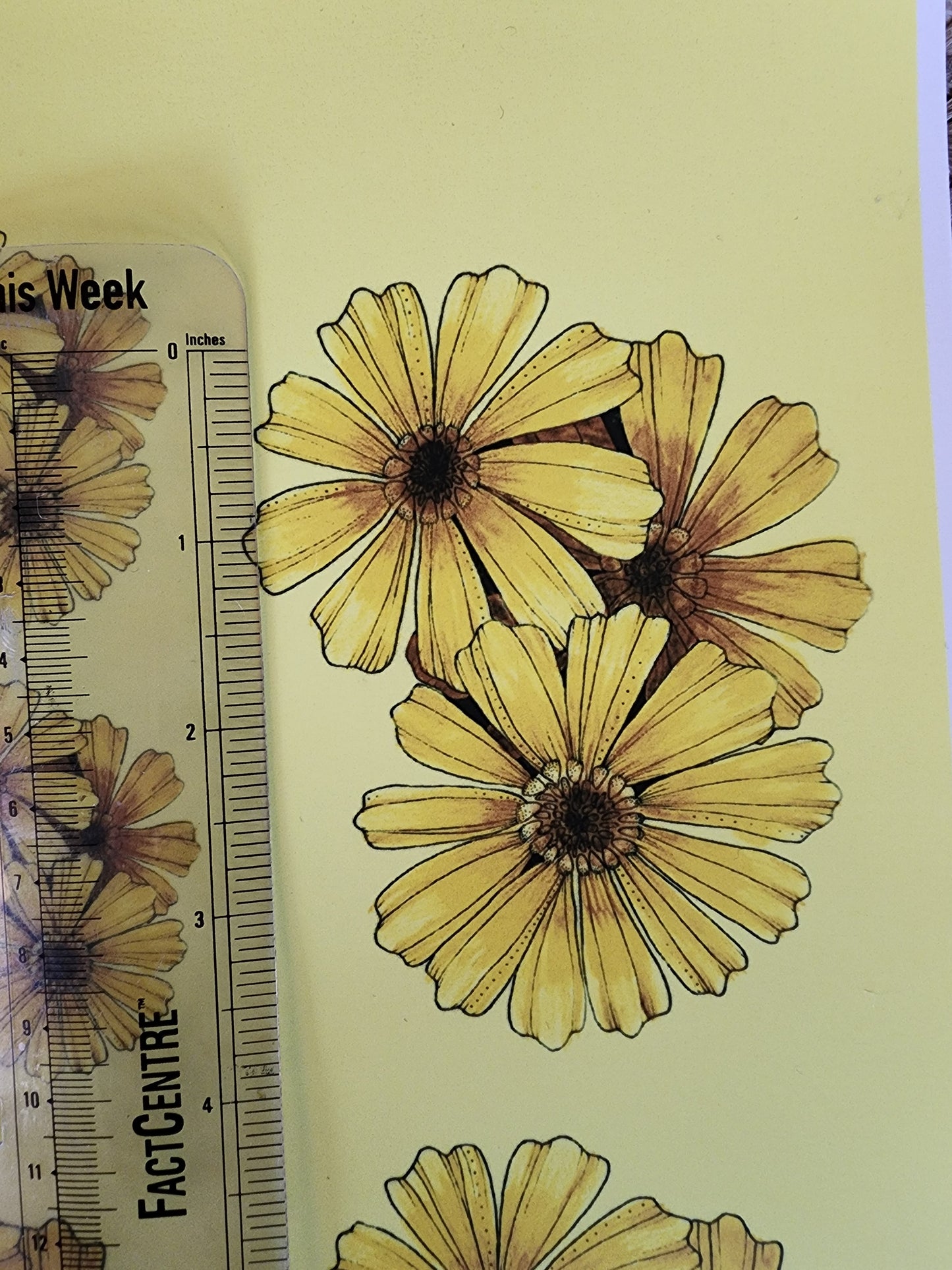 Sunflower Ceramic Decal