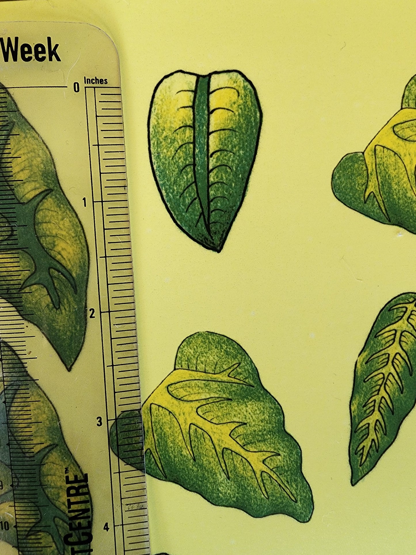 Leaves Ceramic Decal