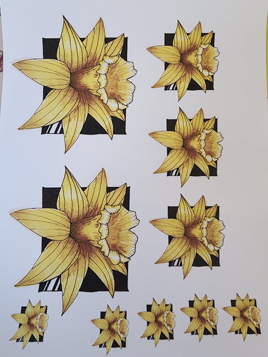 Daffodils Overglaze Waterslide Ceramic Decal