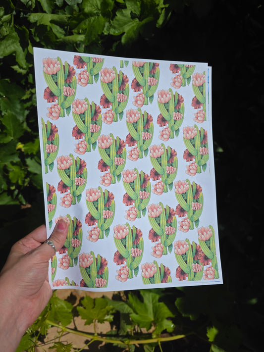 Cactus Flowers