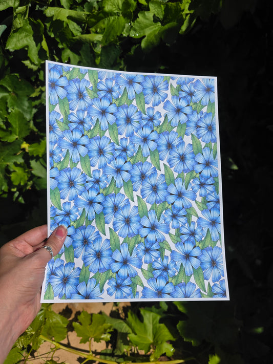 Forget-Me-Not Flowers Overglaze Waterslide Ceramic Decal