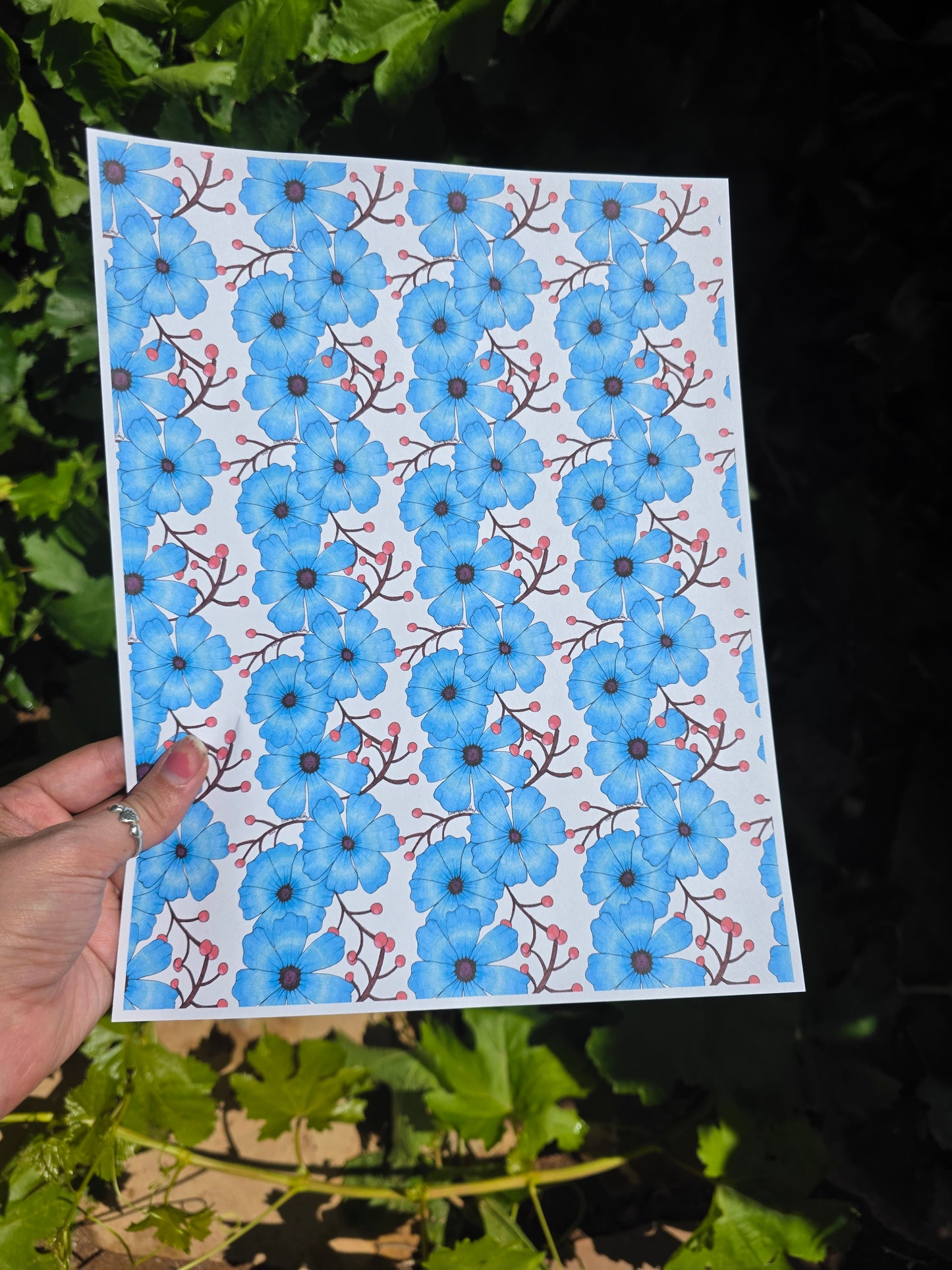 Winterberries Ceramic Overglaze Transfer